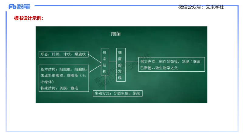 主观专项1-拾光_4-教培资料-26年最新资料-同步更新_初中高中教资_03科三专项（进去保存报考的学科即可）_01科目三FB网课、三色速记手册、知识点导图等推荐_初中_2.主观专项