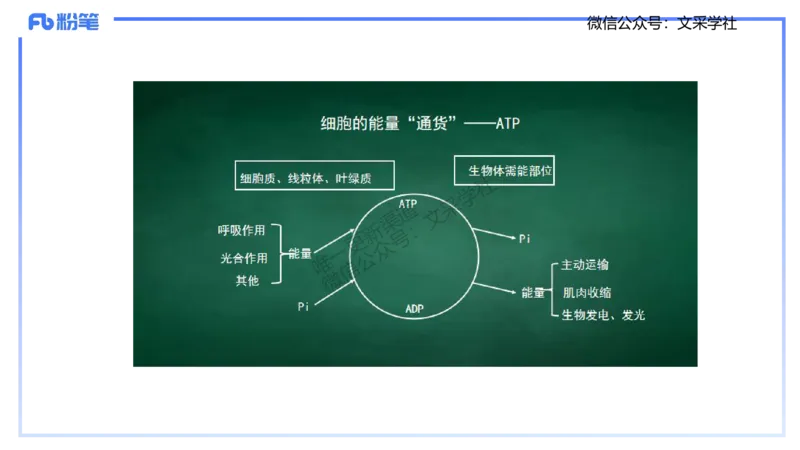 主观专项1-拾光_4-教培资料-26年最新资料-同步更新_初中高中教资_03科三专项（进去保存报考的学科即可）_01科目三FB网课、三色速记手册、知识点导图等推荐_初中_2.主观专项