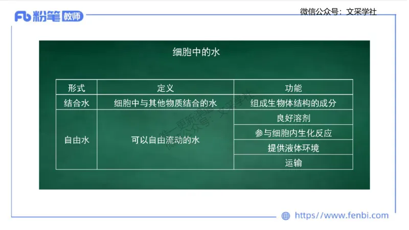 主观专项1-拾光_4-教培资料-26年最新资料-同步更新_初中高中教资_03科三专项（进去保存报考的学科即可）_01科目三FB网课、三色速记手册、知识点导图等推荐_初中_2.主观专项