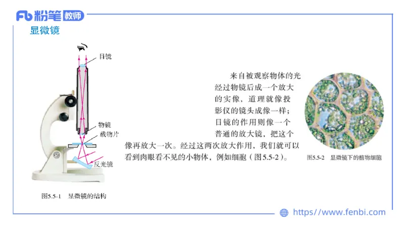 6.21理论精讲-初中物理实验-楠风_4-教培资料-26年最新资料-同步更新_科一科二电子资料合集中小幼（笔记真题知识点汇总等）文件多，按需保存_各机构笔记合集（中小幼）推荐_讲义