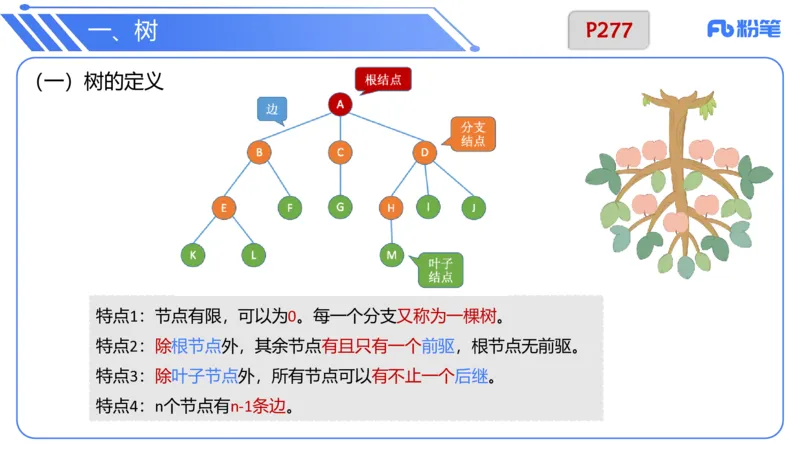6.25早&middot;理论精讲-数据结构与算法讲义3-阿彬老师_4-教培资料-26年最新资料-同步更新_科一科二电子资料合集中小幼（笔记真题知识点汇总等）文件多，按需保存_01西米合集_上课讲义