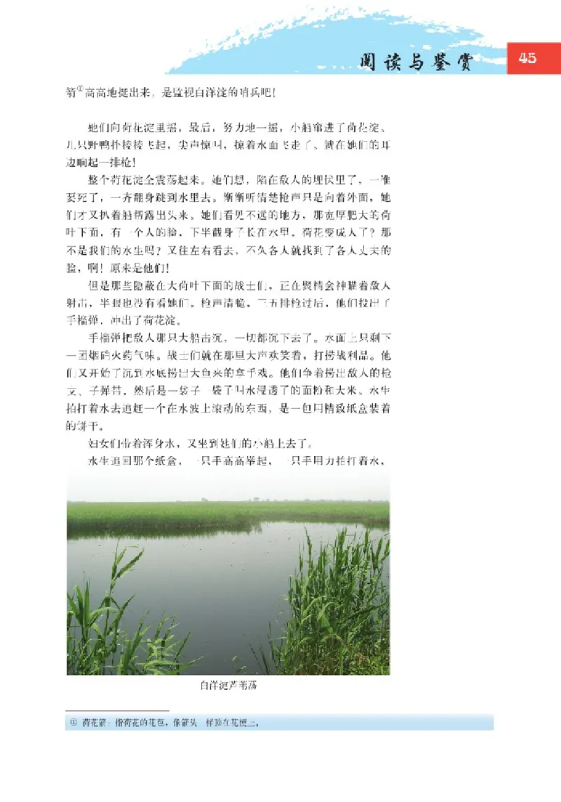 2北师大版高一必修二_4-教培资料-26年最新资料-同步更新_初中高中教资_03科三专项（进去保存报考的学科即可）_02科三专项（笔记真题思维导图教学设计版本二）