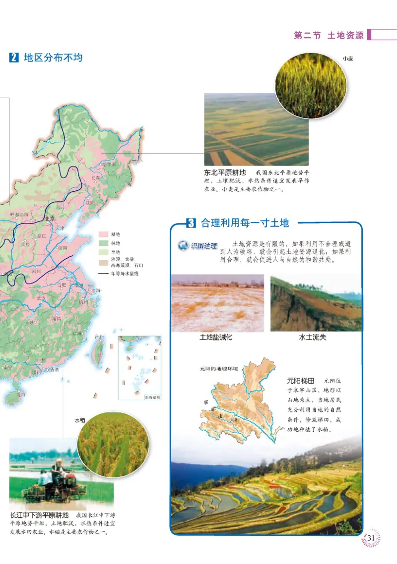 人教版8年级地理上册地理图册_4-教培资料-26年最新资料-同步更新_初中高中教资_03科三专项（进去保存报考的学科即可）_02科三专项（笔记真题思维导图教学设计版本二）