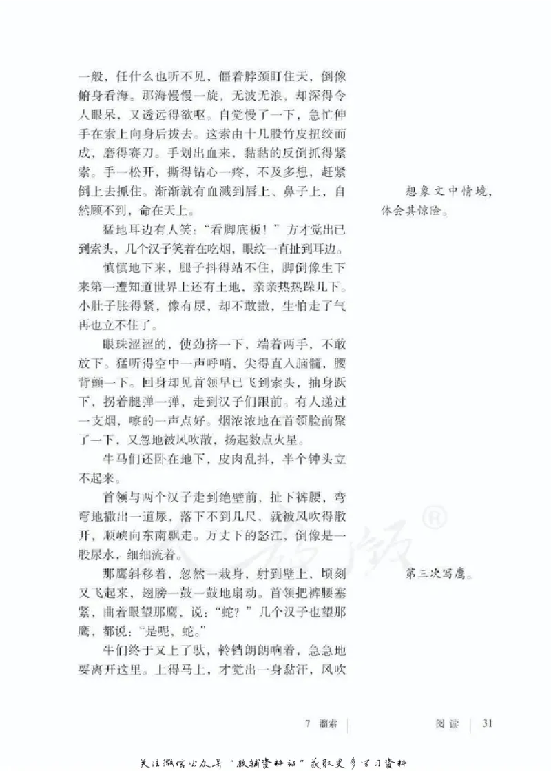 九年级下册语文五四制电子课本_4-教培资料-26年最新资料-同步更新_初中高中教资_03科三专项（进去保存报考的学科即可）_02科三专项（笔记真题思维导图教学设计版本二）