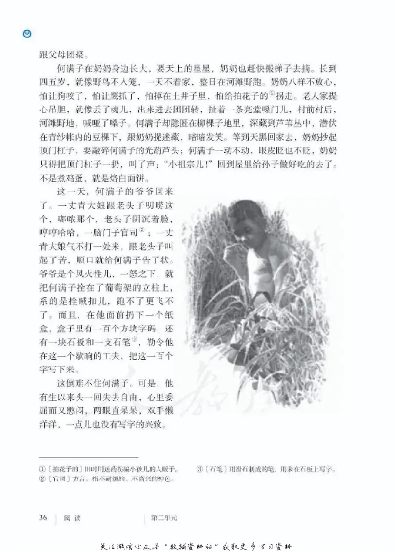 九年级下册语文五四制电子课本_4-教培资料-26年最新资料-同步更新_初中高中教资_03科三专项（进去保存报考的学科即可）_02科三专项（笔记真题思维导图教学设计版本二）