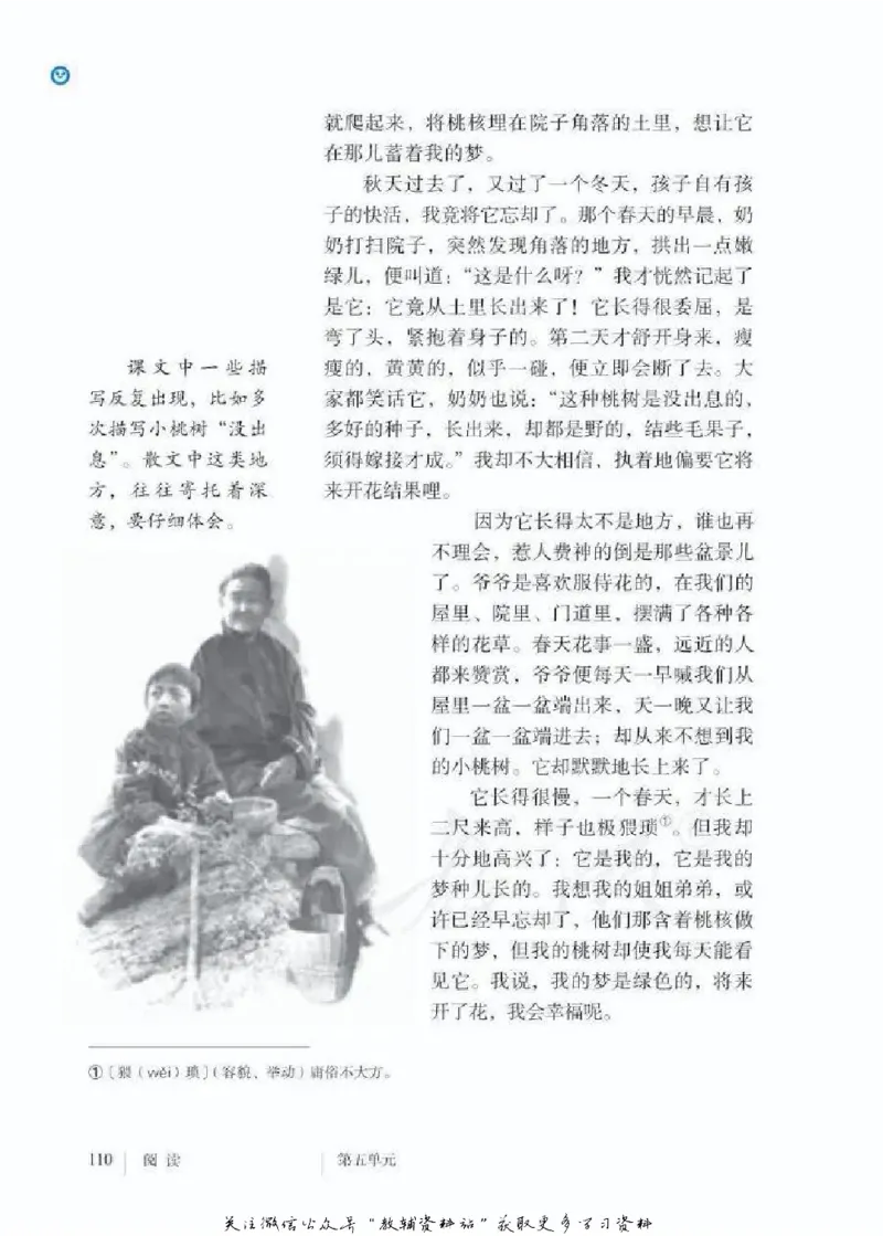 七年级下册语文五四制电子课本_4-教培资料-26年最新资料-同步更新_初中高中教资_03科三专项（进去保存报考的学科即可）_02科三专项（笔记真题思维导图教学设计版本二）