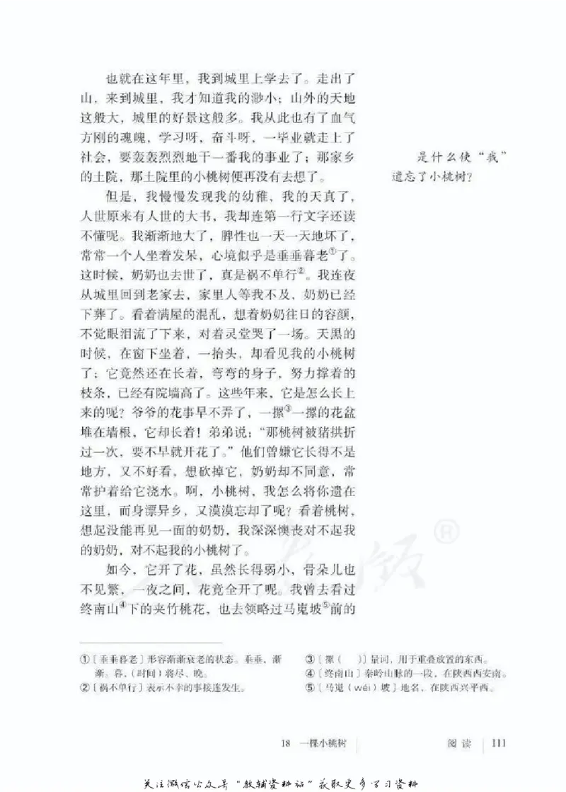 七年级下册语文五四制电子课本_4-教培资料-26年最新资料-同步更新_初中高中教资_03科三专项（进去保存报考的学科即可）_02科三专项（笔记真题思维导图教学设计版本二）