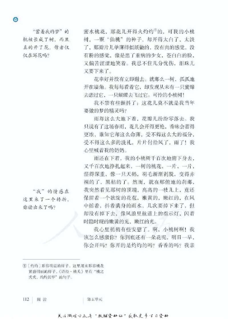 七年级下册语文五四制电子课本_4-教培资料-26年最新资料-同步更新_初中高中教资_03科三专项（进去保存报考的学科即可）_02科三专项（笔记真题思维导图教学设计版本二）