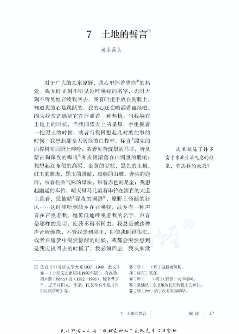 七年级下册语文五四制电子课本_4-教培资料-26年最新资料-同步更新_初中高中教资_03科三专项（进去保存报考的学科即可）_02科三专项（笔记真题思维导图教学设计版本二）