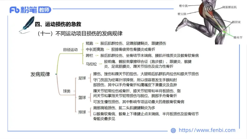 6.19-中学科目三理论精讲14-体育保健学3-岳博_4-教培资料-26年最新资料-同步更新_科一科二电子资料合集中小幼（笔记真题知识点汇总等）文件多，按需保存_01西米合集_上课课件