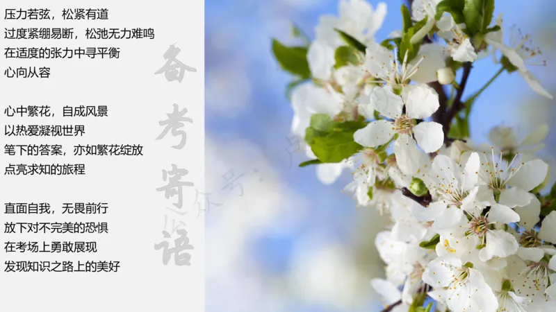 3.3科一三套卷作文讲解_4-教培资料-26年最新资料-同步更新_小学教资_0325上急救班卢姨（小学科一科二）_25上小学科一急救班_06科一试卷解析课（完结）