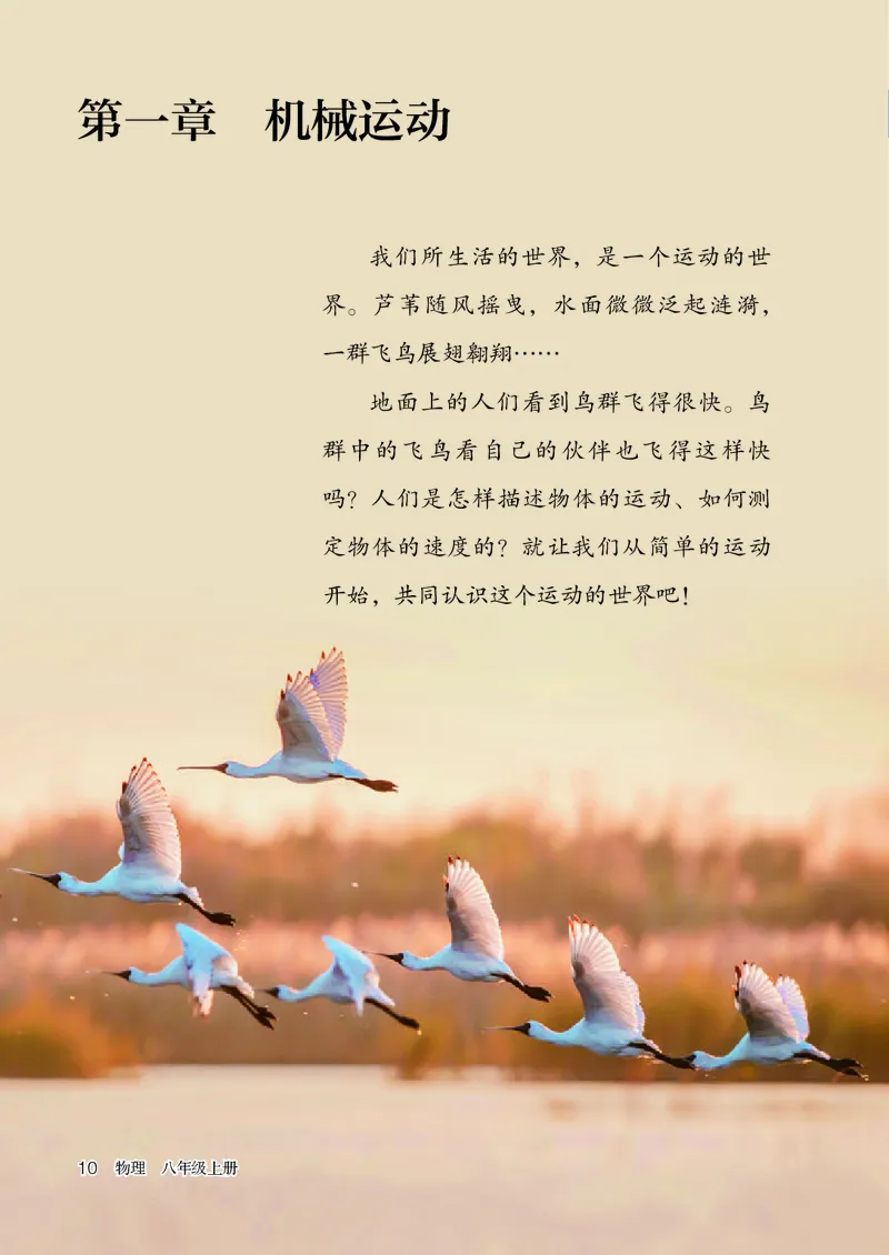 人教版8年级物理上册高清教材_4-教培资料-26年最新资料-同步更新_初中高中教资_03科三专项（进去保存报考的学科即可）_02科三专项（笔记真题思维导图教学设计版本二）