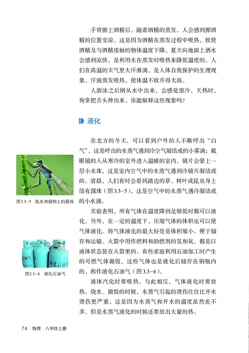 人教版8年级物理上册高清教材_4-教培资料-26年最新资料-同步更新_初中高中教资_03科三专项（进去保存报考的学科即可）_02科三专项（笔记真题思维导图教学设计版本二）