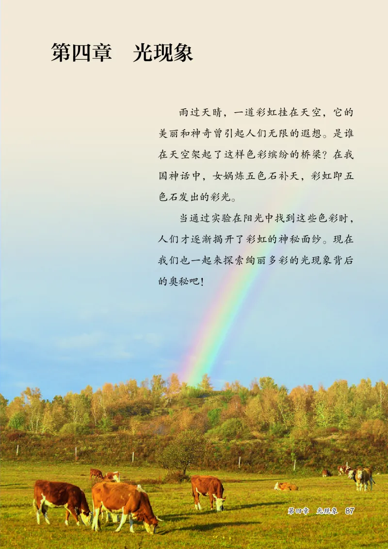 人教版8年级物理上册高清教材_4-教培资料-26年最新资料-同步更新_初中高中教资_03科三专项（进去保存报考的学科即可）_02科三专项（笔记真题思维导图教学设计版本二）