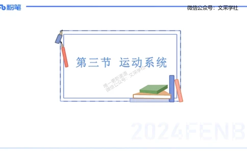 25上理论精讲&mdash;运动解剖学2-陈晶晶_4-教培资料-26年最新资料-同步更新_初中高中教资_03科三专项（进去保存报考的学科即可）_初中_初中体育-通关资料包_3.课程FB系统班课程