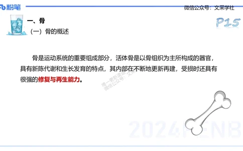 25上理论精讲&mdash;运动解剖学2-陈晶晶_4-教培资料-26年最新资料-同步更新_初中高中教资_03科三专项（进去保存报考的学科即可）_初中_初中体育-通关资料包_3.课程FB系统班课程