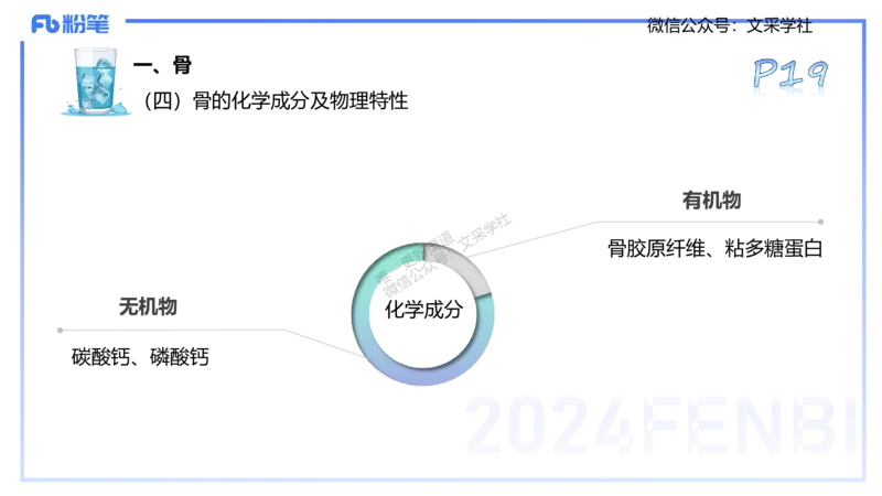 25上理论精讲&mdash;运动解剖学2-陈晶晶_4-教培资料-26年最新资料-同步更新_初中高中教资_03科三专项（进去保存报考的学科即可）_初中_初中体育-通关资料包_3.课程FB系统班课程