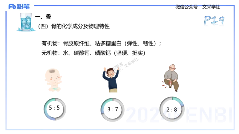 25上理论精讲&mdash;运动解剖学2-陈晶晶_4-教培资料-26年最新资料-同步更新_初中高中教资_03科三专项（进去保存报考的学科即可）_初中_初中体育-通关资料包_3.课程FB系统班课程