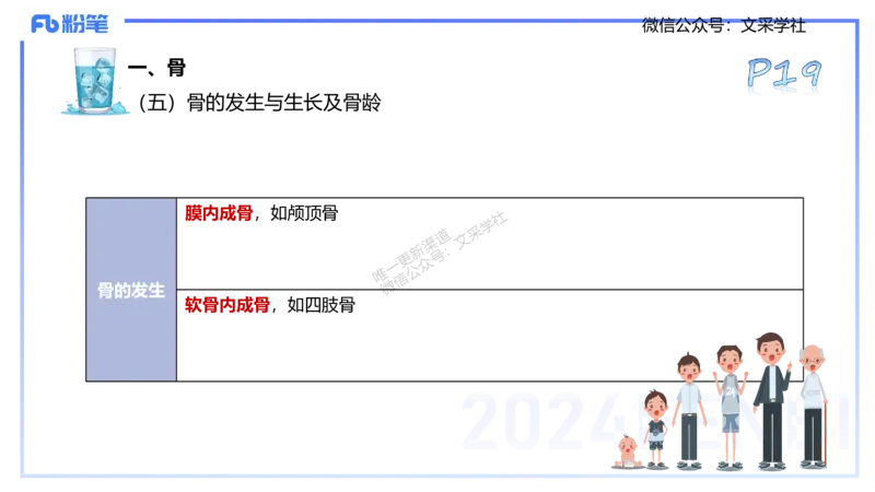 25上理论精讲&mdash;运动解剖学2-陈晶晶_4-教培资料-26年最新资料-同步更新_初中高中教资_03科三专项（进去保存报考的学科即可）_初中_初中体育-通关资料包_3.课程FB系统班课程