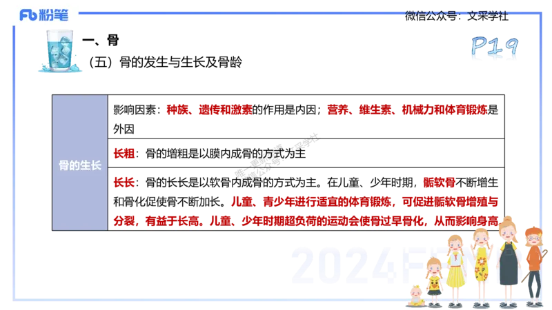 25上理论精讲&mdash;运动解剖学2-陈晶晶_4-教培资料-26年最新资料-同步更新_初中高中教资_03科三专项（进去保存报考的学科即可）_初中_初中体育-通关资料包_3.课程FB系统班课程