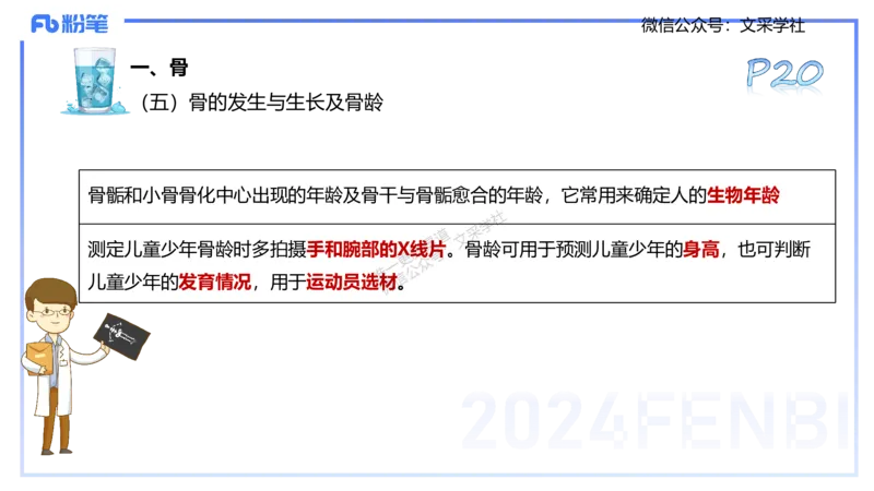 25上理论精讲&mdash;运动解剖学2-陈晶晶_4-教培资料-26年最新资料-同步更新_初中高中教资_03科三专项（进去保存报考的学科即可）_初中_初中体育-通关资料包_3.课程FB系统班课程