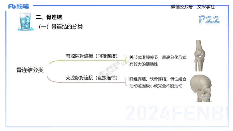 25上理论精讲&mdash;运动解剖学2-陈晶晶_4-教培资料-26年最新资料-同步更新_初中高中教资_03科三专项（进去保存报考的学科即可）_初中_初中体育-通关资料包_3.课程FB系统班课程
