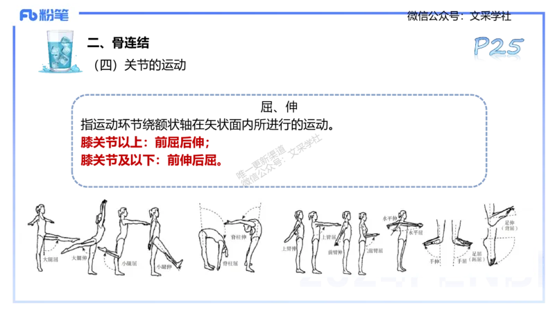 25上理论精讲&mdash;运动解剖学2-陈晶晶_4-教培资料-26年最新资料-同步更新_初中高中教资_03科三专项（进去保存报考的学科即可）_初中_初中体育-通关资料包_3.课程FB系统班课程