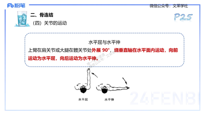 25上理论精讲&mdash;运动解剖学2-陈晶晶_4-教培资料-26年最新资料-同步更新_初中高中教资_03科三专项（进去保存报考的学科即可）_初中_初中体育-通关资料包_3.课程FB系统班课程