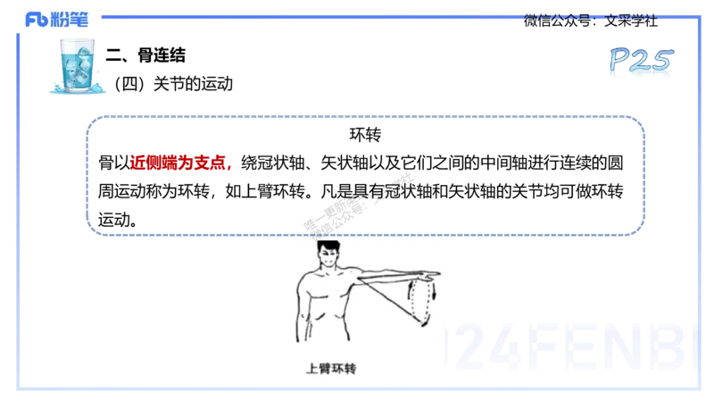 25上理论精讲&mdash;运动解剖学2-陈晶晶_4-教培资料-26年最新资料-同步更新_初中高中教资_03科三专项（进去保存报考的学科即可）_初中_初中体育-通关资料包_3.课程FB系统班课程