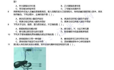 21年下-初中生物真题-题本_4-教培资料-26年最新资料-同步更新_初中高中教资_03科三专项（进去保存报考的学科即可）_01科目三FB网课、三色速记手册、知识点导图等推荐_初中