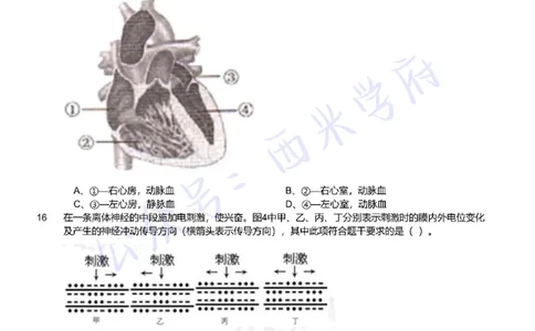 21年下-初中生物真题-题本_4-教培资料-26年最新资料-同步更新_初中高中教资_03科三专项（进去保存报考的学科即可）_01科目三FB网课、三色速记手册、知识点导图等推荐_初中