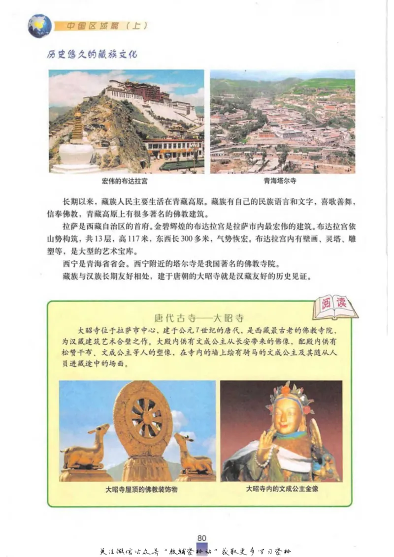 七年级上册地理沪教版电子课本_4-教培资料-26年最新资料-同步更新_初中高中教资_03科三专项（进去保存报考的学科即可）_02科三专项（笔记真题思维导图教学设计版本二）