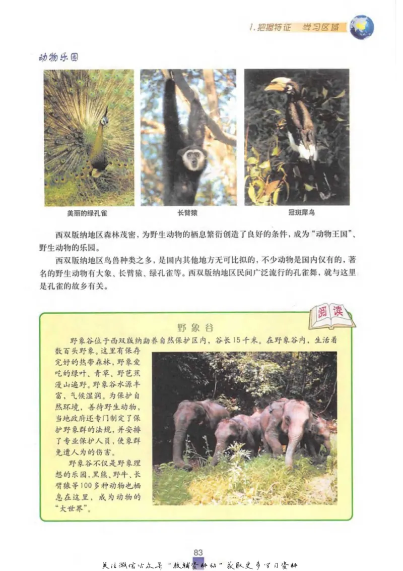 七年级上册地理沪教版电子课本_4-教培资料-26年最新资料-同步更新_初中高中教资_03科三专项（进去保存报考的学科即可）_02科三专项（笔记真题思维导图教学设计版本二）