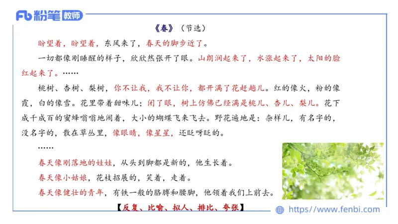 25上教资系统班中外文学9&mdash;乐多_4-教培资料-26年最新资料-同步更新_初中高中教资_03科三专项（进去保存报考的学科即可）_01科目三FB网课、三色速记手册、知识点导图等推荐