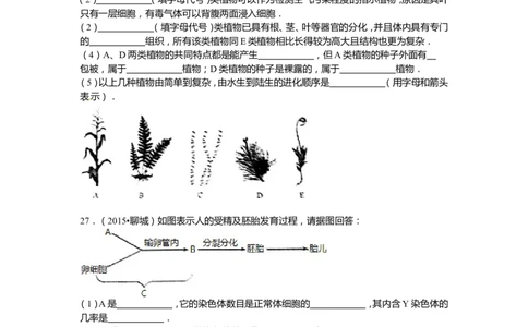2015年聊城市中考生物试卷及答案_中考真题_8.生物中考真题2015-2024年_地区卷_山东省_山东聊城生物10-22