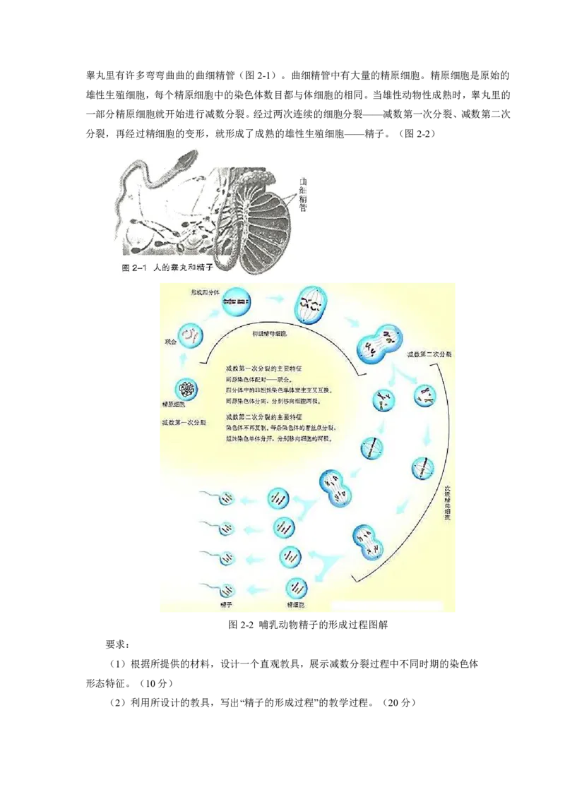 24上教资资格押题卷高中生物（一）试题_4-教培资料-26年最新资料-同步更新_初中高中教资_03科三专项（进去保存报考的学科即可）_高中_高中生物-通关资科包_6.押题考前押题卷