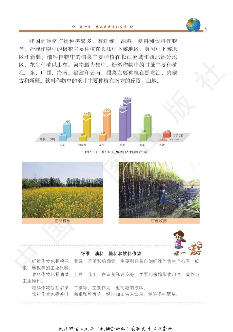 七年级下册地理北京版电子课本_4-教培资料-26年最新资料-同步更新_初中高中教资_03科三专项（进去保存报考的学科即可）_02科三专项（笔记真题思维导图教学设计版本二）
