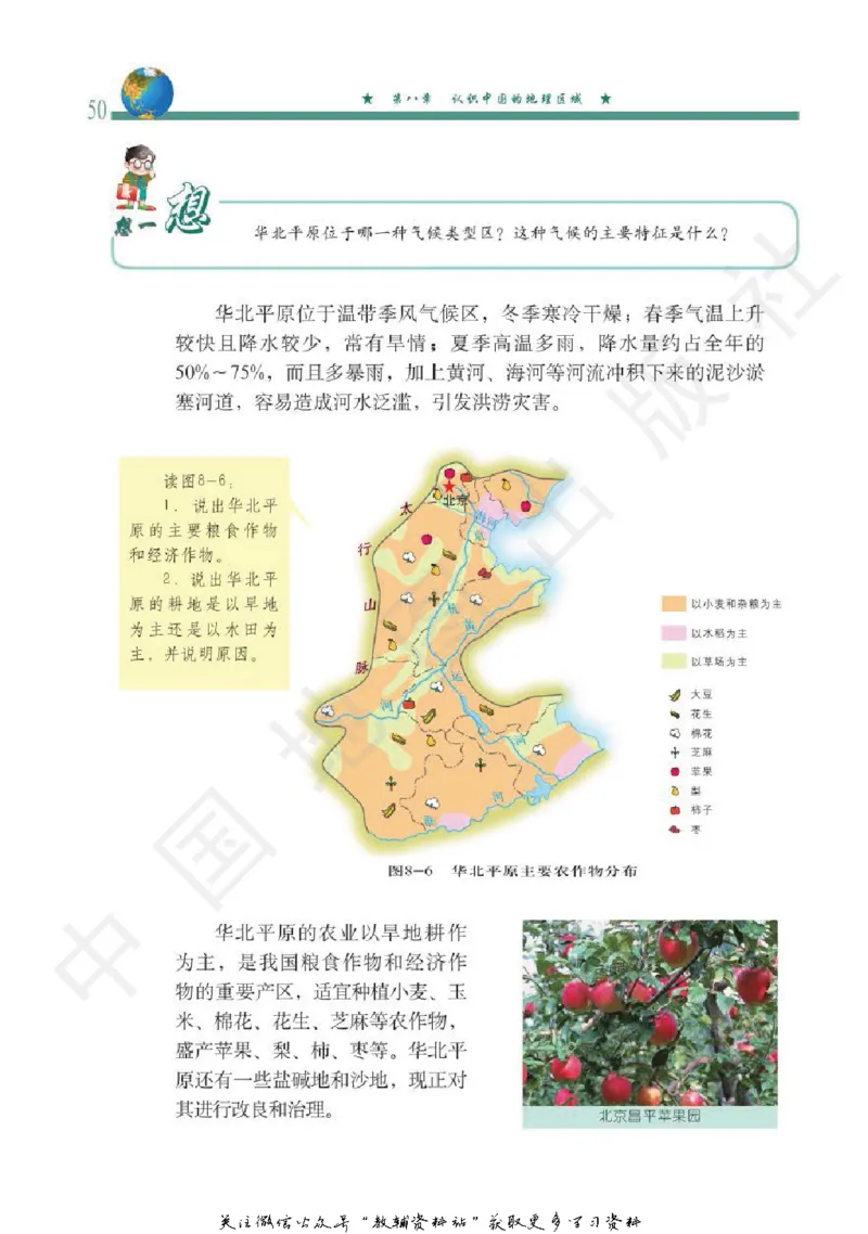 七年级下册地理北京版电子课本_4-教培资料-26年最新资料-同步更新_初中高中教资_03科三专项（进去保存报考的学科即可）_02科三专项（笔记真题思维导图教学设计版本二）