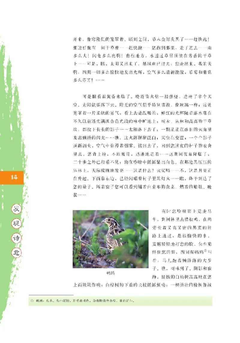 2北师大版高二必修四_4-教培资料-26年最新资料-同步更新_初中高中教资_03科三专项（进去保存报考的学科即可）_02科三专项（笔记真题思维导图教学设计版本二）