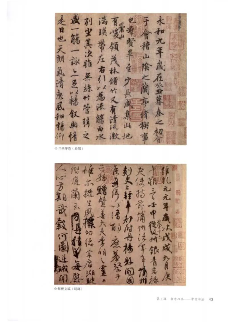 人教版美术必修高清教材_4-教培资料-26年最新资料-同步更新_初中高中教资_03科三专项（进去保存报考的学科即可）_02科三专项（笔记真题思维导图教学设计版本二）