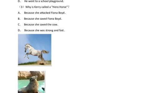 2018年山东省淄博市中考英语试卷（解析版）_中考真题_3.英语中考真题2015-2024年_地区卷_山东省_山东淄博英语09-21