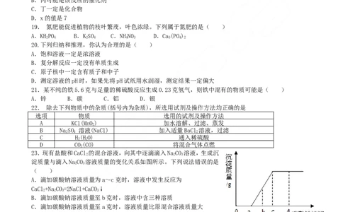 2018年湖南省衡阳市中考化学真题及答案_中考真题_5.化学中考真题2015-2024年_地区卷_湖南省_衡阳化学16-22