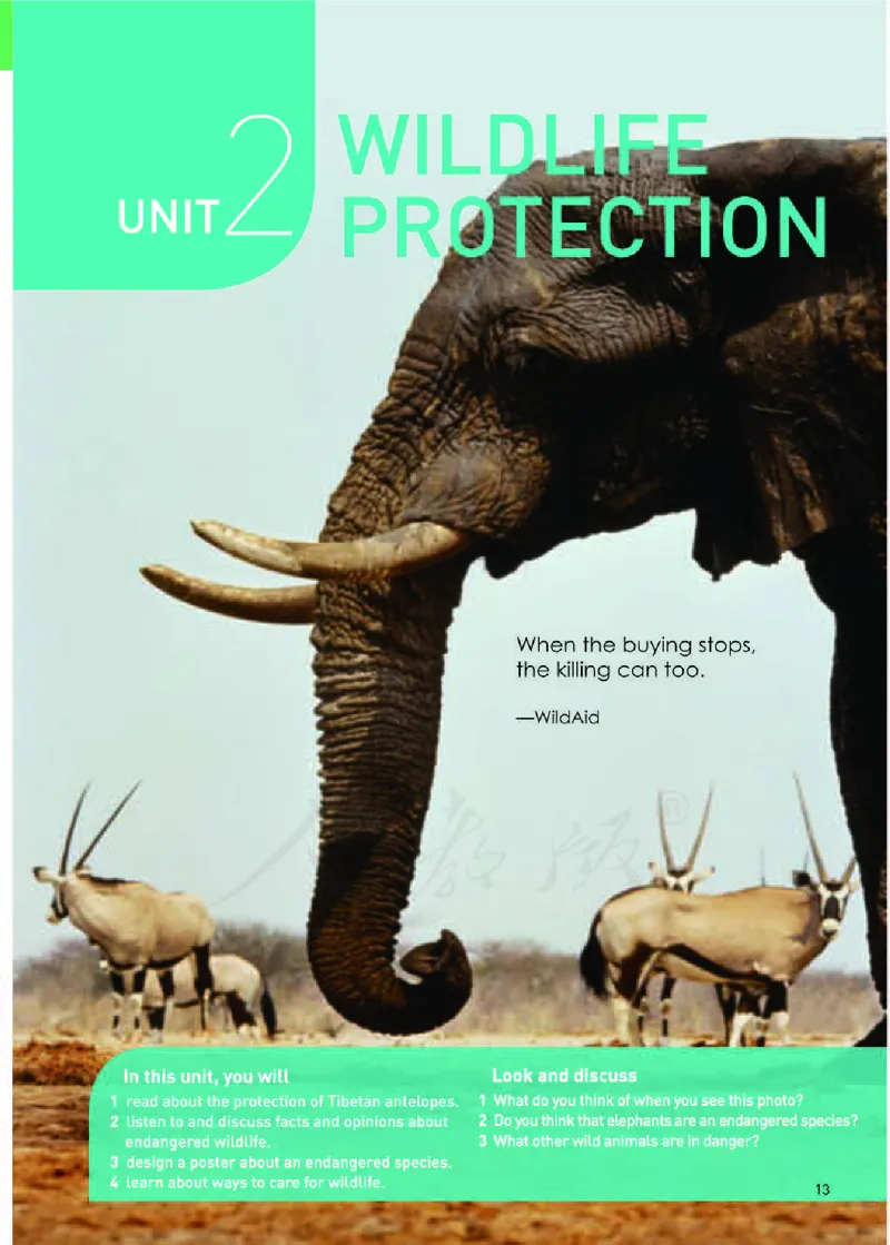 人教版英语必修第二册高清教材_4-教培资料-26年最新资料-同步更新_初中高中教资_03科三专项（进去保存报考的学科即可）_02科三专项（笔记真题思维导图教学设计版本二）