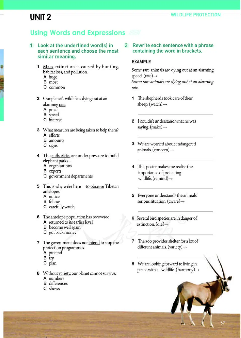 人教版英语必修第二册高清教材_4-教培资料-26年最新资料-同步更新_初中高中教资_03科三专项（进去保存报考的学科即可）_02科三专项（笔记真题思维导图教学设计版本二）
