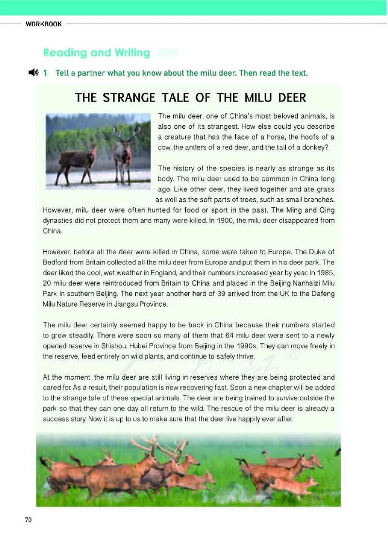 人教版英语必修第二册高清教材_4-教培资料-26年最新资料-同步更新_初中高中教资_03科三专项（进去保存报考的学科即可）_02科三专项（笔记真题思维导图教学设计版本二）