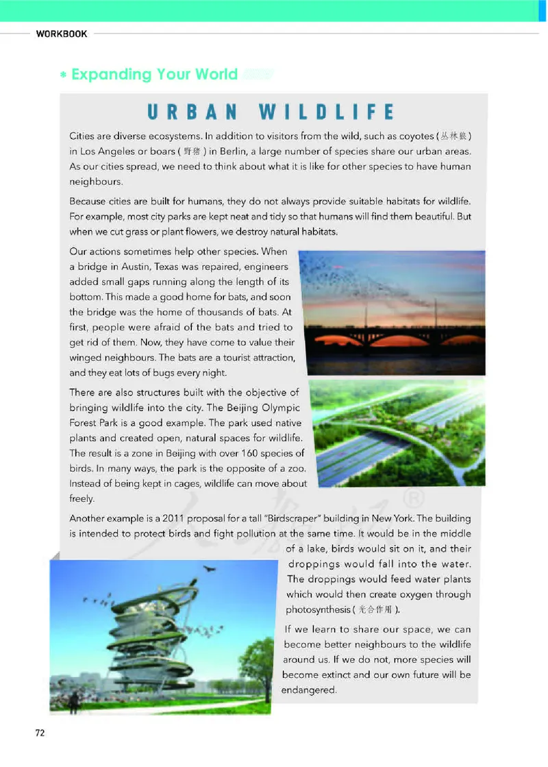 人教版英语必修第二册高清教材_4-教培资料-26年最新资料-同步更新_初中高中教资_03科三专项（进去保存报考的学科即可）_02科三专项（笔记真题思维导图教学设计版本二）