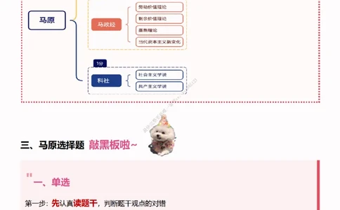 25考研政治韩雪老师马原选择题技巧讲义（伴学营内部讲义）_2026考公资料_（49）政治理论合集_政治理论合集_2025考研政治_03.肖秀荣_01.韩雪_03.冲刺押题_00.课件汇总