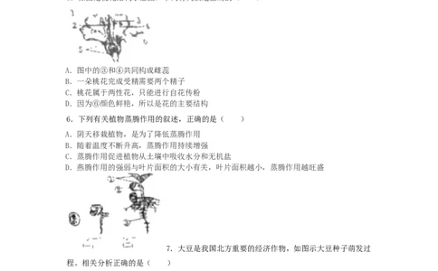 2019山东省滨州市中考生物真题及答案_中考真题_8.生物中考真题2015-2024年_地区卷_山东省_山东滨州生物18-20