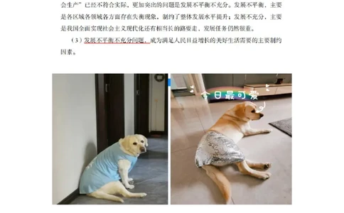 30.毛中特新思想考点精讲10+许洒+（讲义+笔记）（2025考研系统班图书大礼包&middot;政治）+_2026考公资料_（49）政治理论合集_政治理论合集_2025考研政治_09.粉笔_03.强化阶段_00.讲义