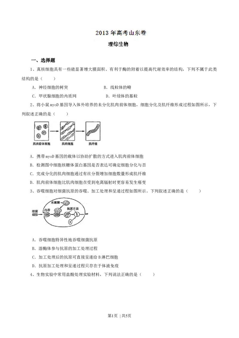 2013年高考生物试卷（山东）（空白卷）_1.高考2025全国各省真题+答案_01.2008-2024全国高考真题（按省份分类）_15.山东_2008-2024&middot;（山东）生物高考真题